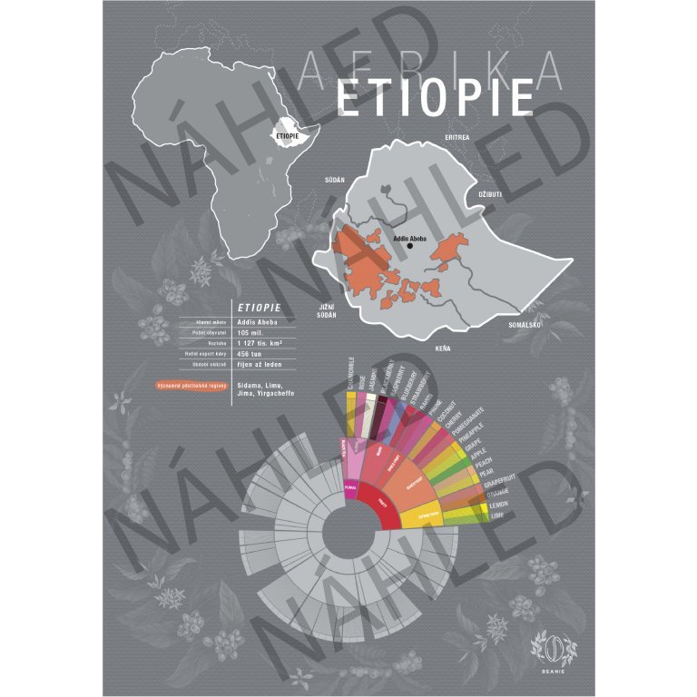 Beanie Etiópia - poszter A4