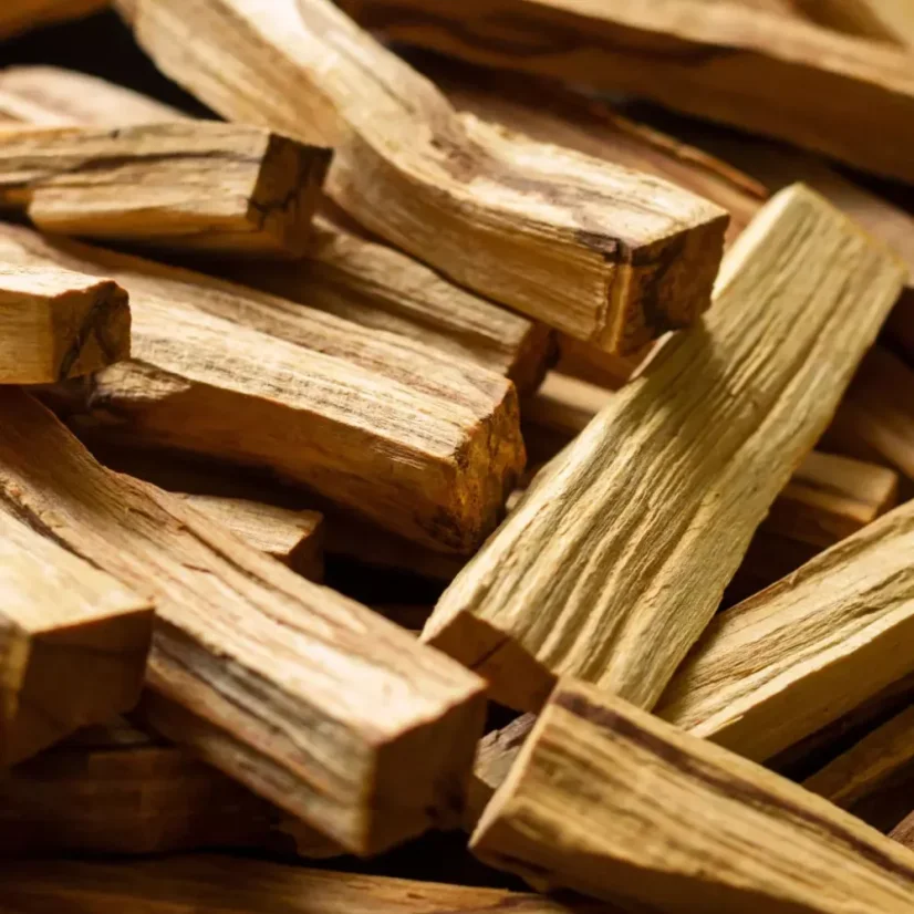 BIO Palo Santo - Huile essentielle 100% naturelle 10 ml