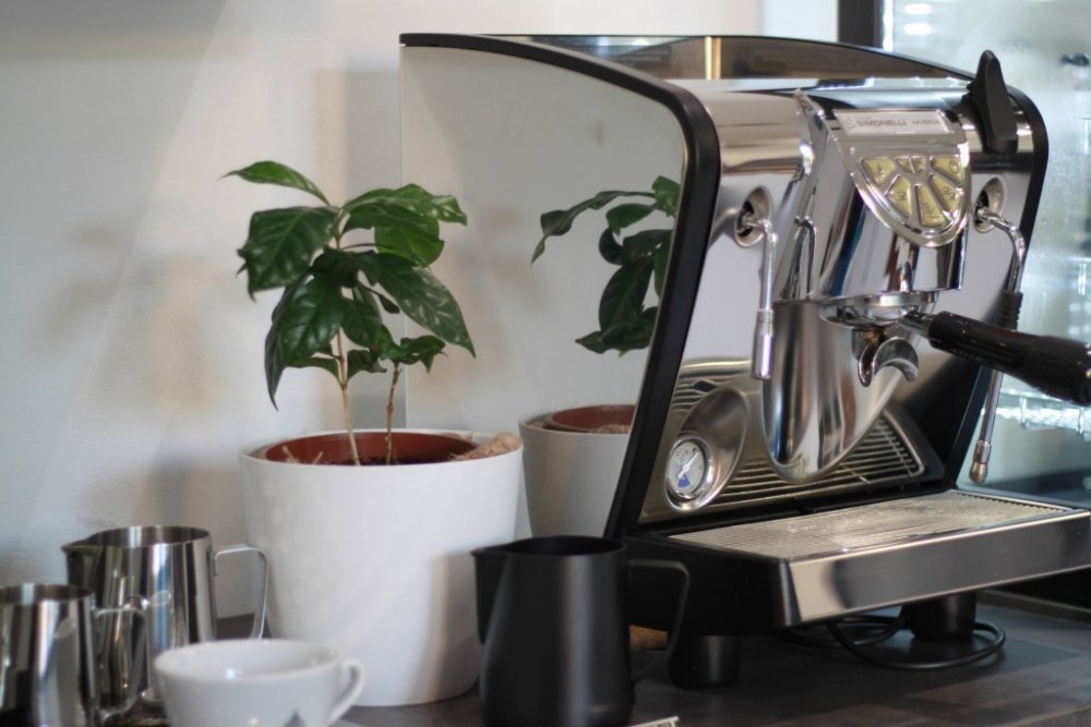 Los filtros para el café de las cafeteras caseras: porque tienen doble  fondo y como limpiarlos 