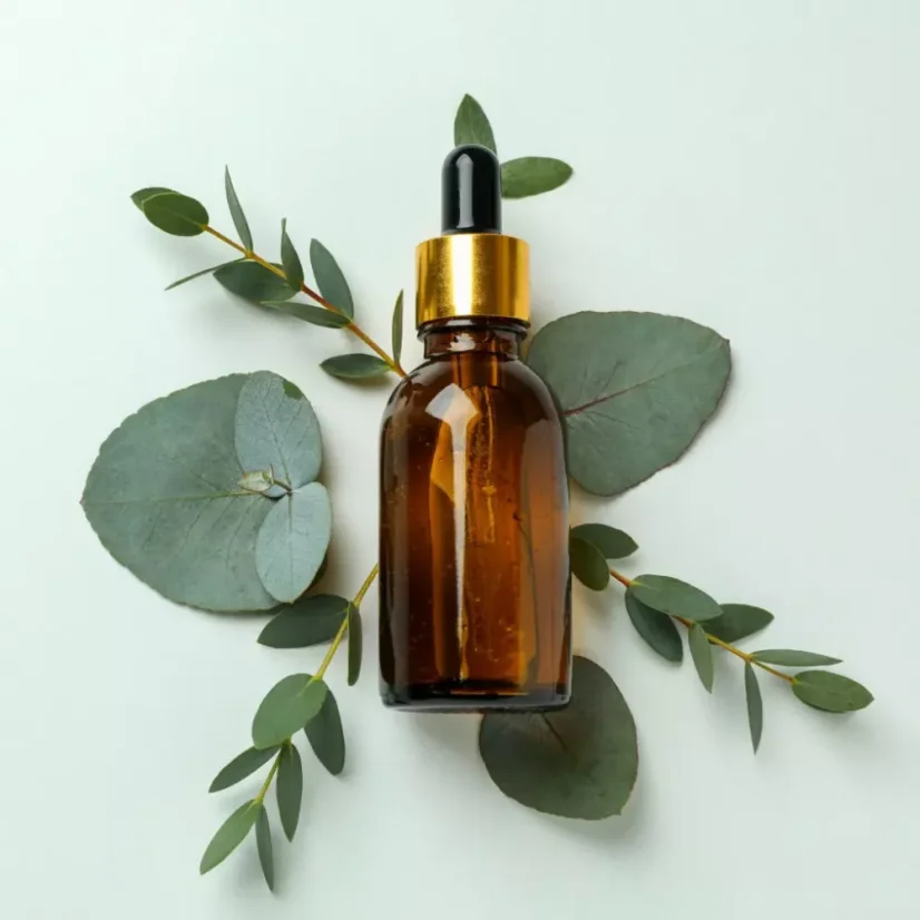 L'huile essentielle BIO d'eucalyptus est 100 % naturelle avec un volume de 10 ml, idéale pour stimuler l'esprit et rafraîchir l'air.