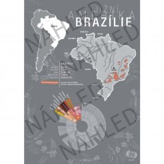 Kávový plagát s motívom Brazílie od českej značky Beanie.