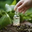 Esenciálny olej z bieleho korenia Green Plantation s objemom 10 ml, s hrejivou vôňou, 100% prírodný.