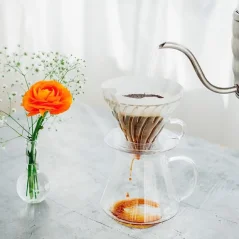 Glass Hario V60 Brewing Kit for coffee lovers.