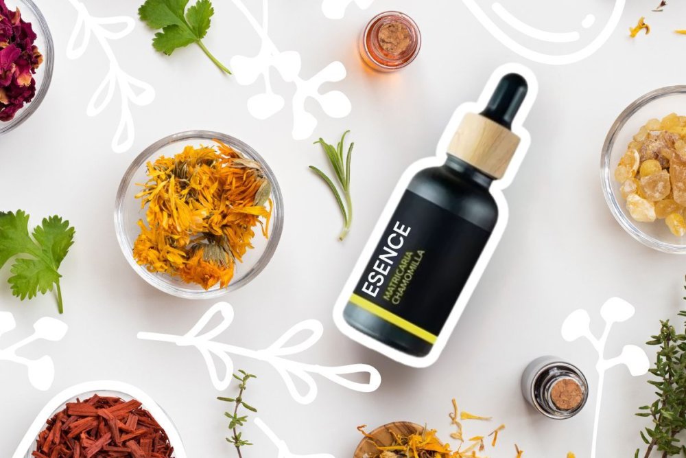 Types of essences from our offer. Train your sense of smell