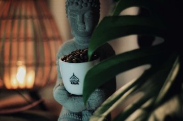 Ayurvedischer Kaffee. Zichorie oder Arabica?
