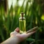 Flacon Pěstík Calamus d'huile essentielle 100% naturelle de 10 ml, adapté pour soulager les douleurs musculaires et dorsales. Flacon Pěstík Calamus d'huile essentielle 100% naturelle de 10 ml, adapté pour soulager les douleurs musculaires et dorsales.