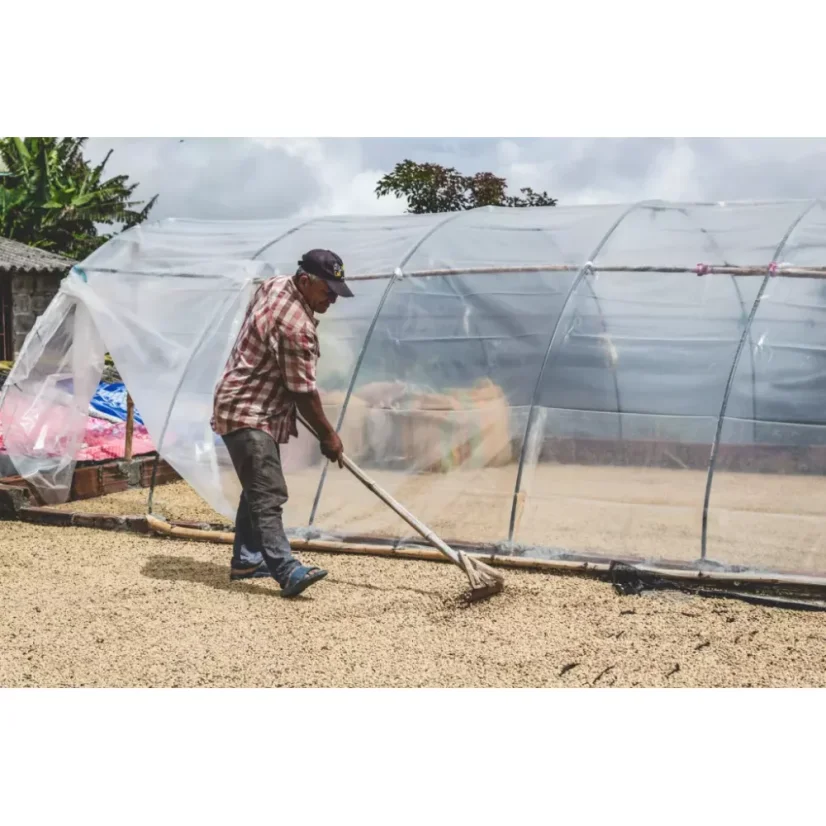 Colombia Exotico is a bean coffee for espresso that features a medium caffeine content.