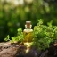 Huile essentielle d'origan, 100 % naturelle, 10 ml avec certification 100 % bio.
