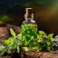 Peppermint essential oil by Pěstík, 100% natural, in a 10 ml package, suitable for men. Peppermint essential oil by Pěstík, 100% natural, in a 10 ml package, suitable for men.
