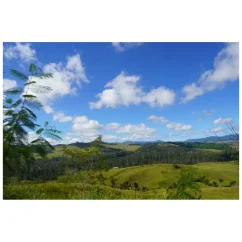 Papua Nová Guinea Baroida je kvalitná zrnková káva na espresso, vynikajúca svojou odrodou Typica.