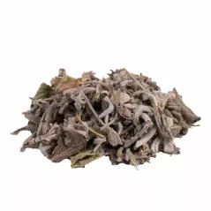 Thé de sauge, bio herbal Thé de sauge, bio herbal