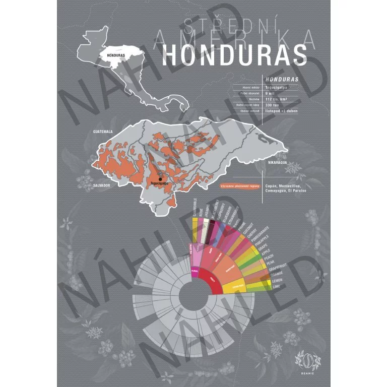 Beanie Honduras - Poster khổ A4