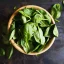 BIO Basil is a 100% natural essential oil that supports hormonal balance. BIO Basil is a 100% natural essential oil that supports hormonal balance.