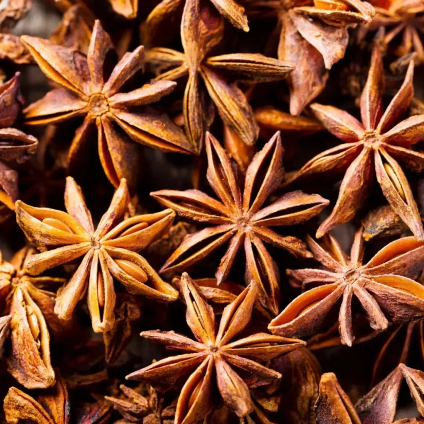 BIO Badyán est une huile essentielle 100 % naturelle, idéale pour la régénération musculaire.