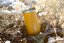 Kubek termiczny Wacaco Octaroma Lungo - Amber Yellow 300 ml