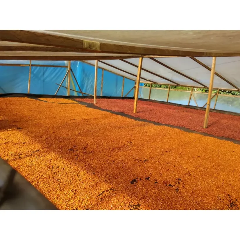Kolumbien Luis Anibal | Filter - Verpackung: 250 g