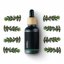 Myrte - 100% natürliches ätherisches Öl (10ml)