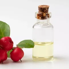 BIO Libavka est une huile essentielle 100% naturelle avec un parfum boisé aromatique, idéale pour apaiser et se détendre.