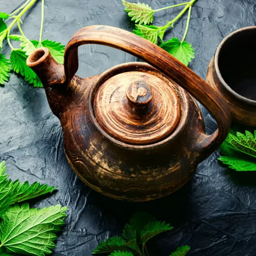 Organic nettle leaves tea is an herbal infusion that boasts a long steeping time of 5 to 10 minutes for an intense flavour.