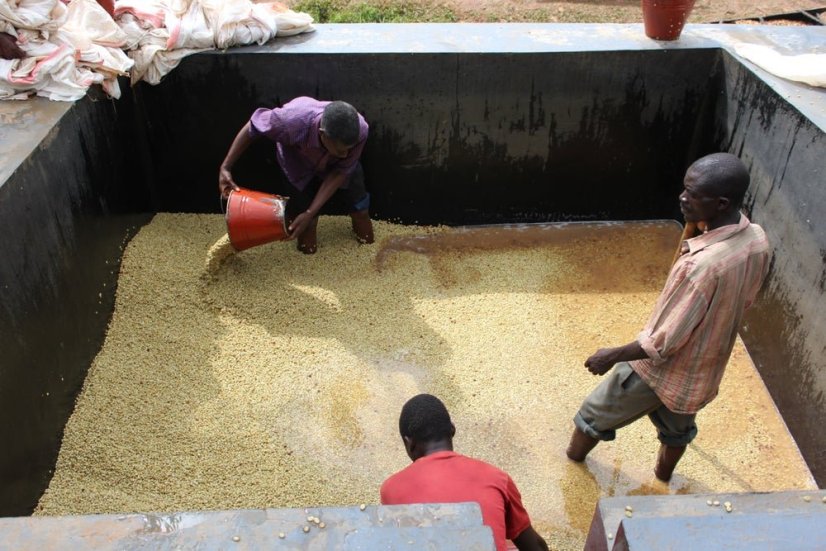 Burundi Yandaro | Filtr - Balení: 250 g