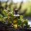 Huile essentielle de myrte de 10 ml avec certification d'agriculture durable.