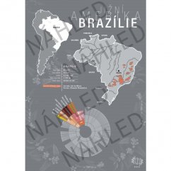 Beanie Brazil - poszter A4