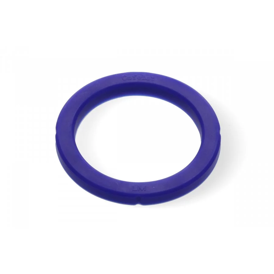 Group head gaskets - Rancilio