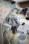 Lelit Mara PL62X coffee machine group head attachment.