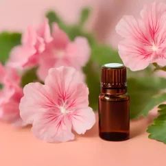BIO Pelargonie ist ein 100% natürlicher ätherischer Öl, das entspannende Wirkungen bietet.