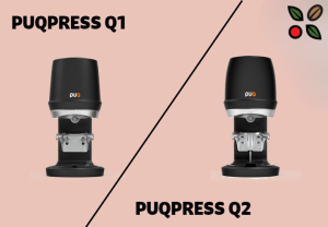 PuqPress Q1 vs. Q2
