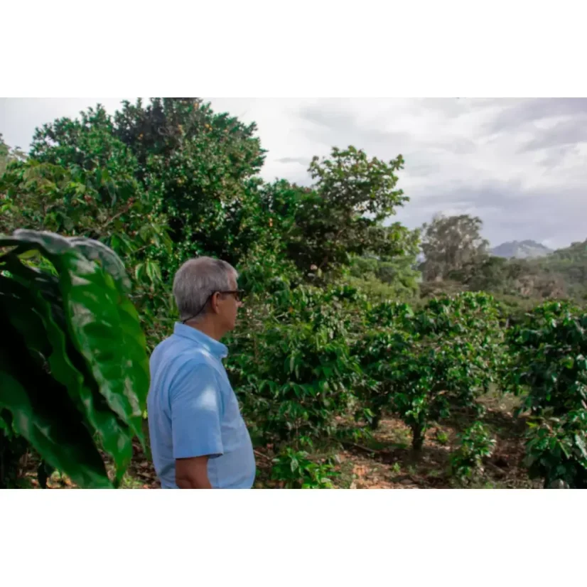 Nikaragua Finca Los Altiplanos est un café en grains de qualité pour expresso avec des caractéristiques gustatives évoquant la pomme rouge.