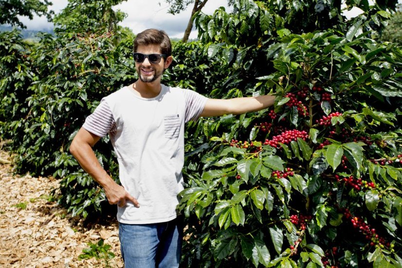 Selected coffee Costa Rica Aquiares Estate Entre Rios Obata roasted for omni roast.