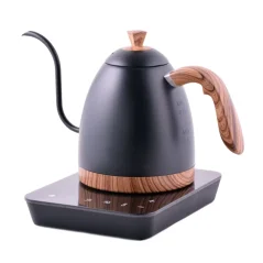 Electric Brewista Artisan kettle in matte black color, with a gooseneck and a convenient swivel base for easy use.