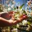 Flacon en verre de 10 ml d'huile essentielle de néroli 100% naturelle, reconnue pour ses effets aphrodisiaques.