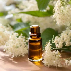 BIO Meadowsweet is a 100% natural infused oil, perfect for skincare due to its beneficial properties.