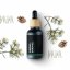 Siberian Pine - 100% Natural Essential Oil (10ml)