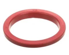 Conical long-life head gasket for Victoria Arduino coffee machines